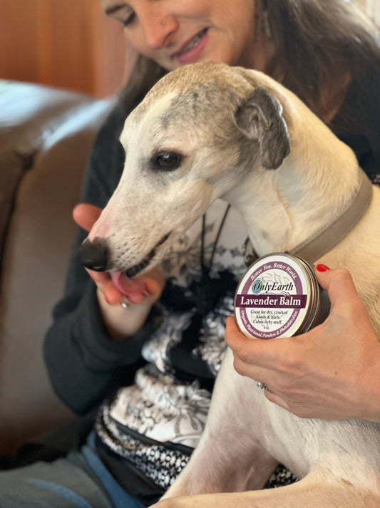 It's for the Dogs. Only Earth