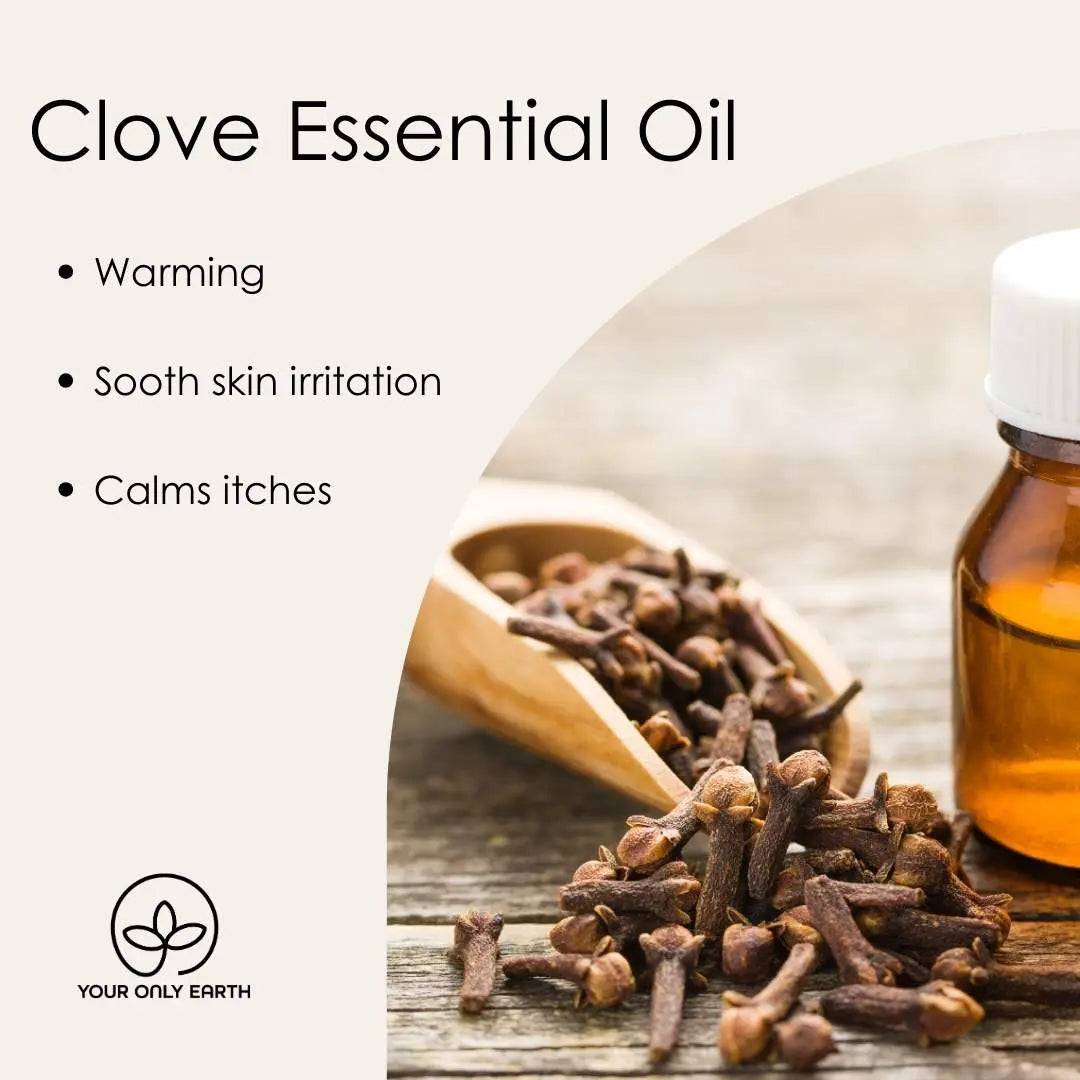 Clove Soap Your Only Earth