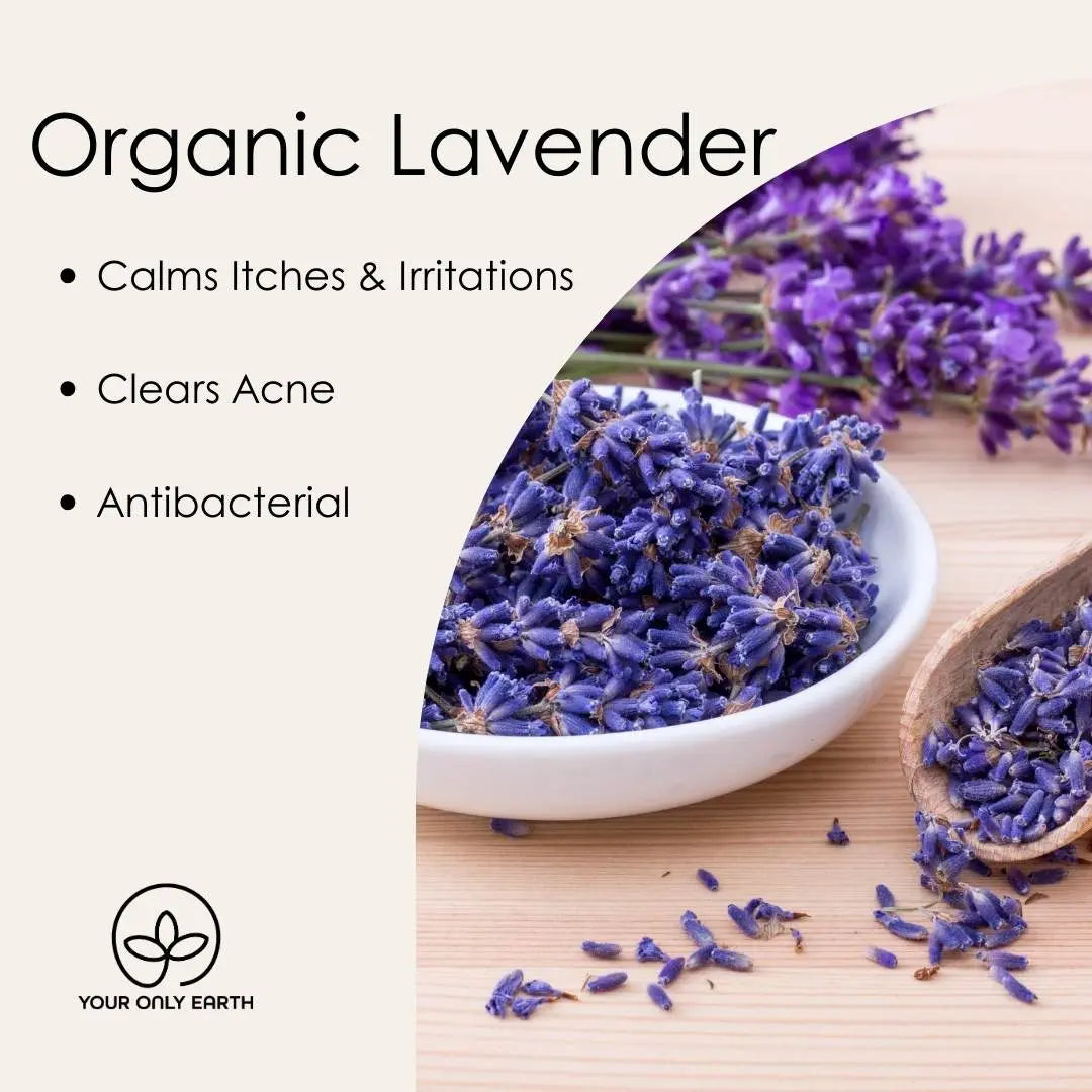 Lavender Your Only Earth