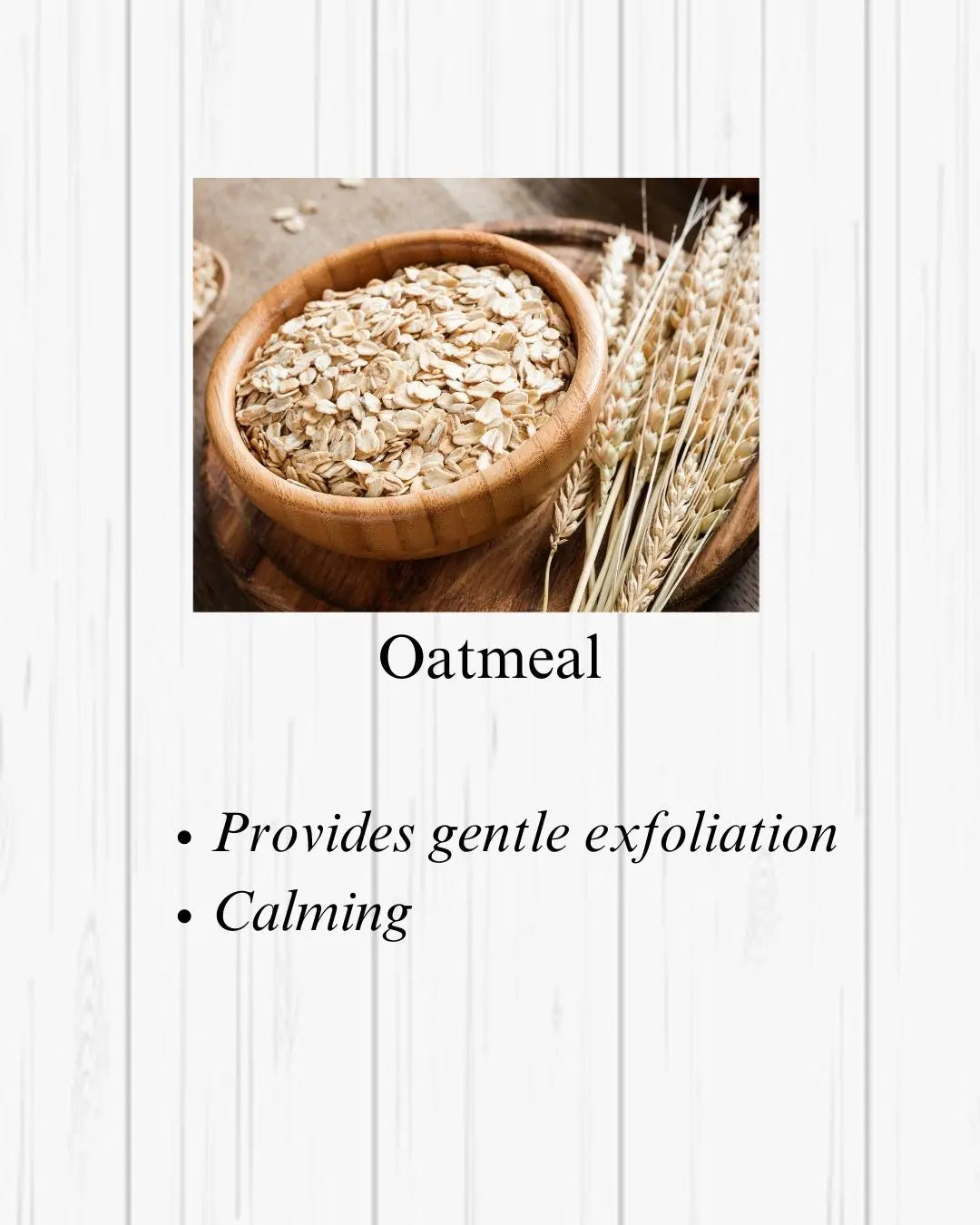 Oatmeal Your Only Earth