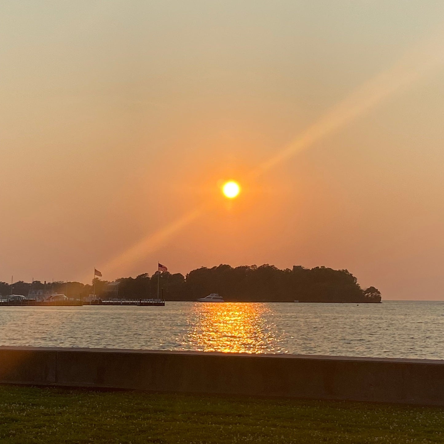 Summer Solstice Celebration